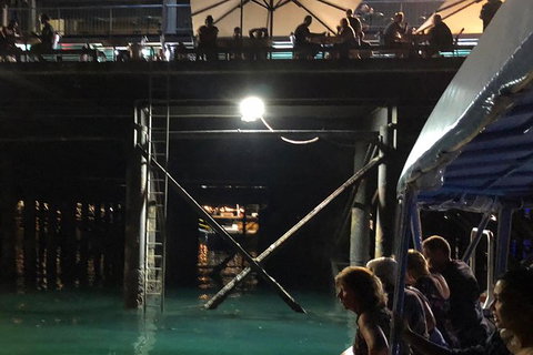 Darwin Sunset Cruise, Including Fish \'n\' Chips - Tourism Adelaide 8