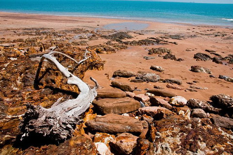 Darwin Hop-on Hop-off Bus Tour - Tourism Adelaide 5