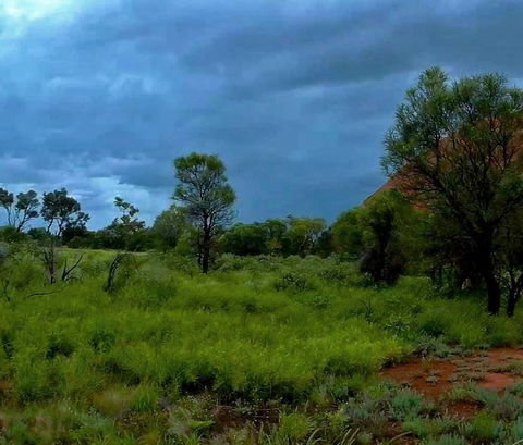 3-Day Ayers Rock To Alice Springs Camping Tour Including Kings Canyon, Kata Tjuta And Uluru - Tourism Adelaide 11