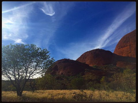 3-Day Ayers Rock To Alice Springs Camping Tour Including Kings Canyon, Kata Tjuta And Uluru - Tourism Adelaide 14
