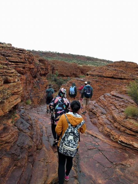 3-Day Ayers Rock To Alice Springs Camping Tour Including Kings Canyon, Kata Tjuta And Uluru - Tourism Adelaide 6