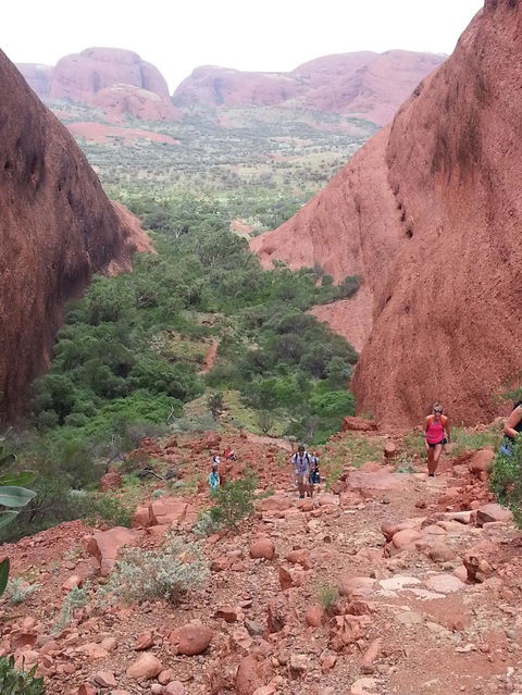 3-Day Ayers Rock To Alice Springs Camping Tour Including Kings Canyon, Kata Tjuta And Uluru - Tourism Adelaide 7