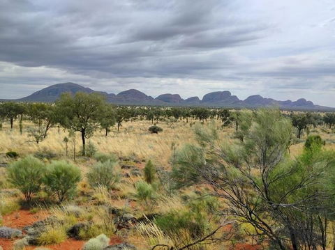 3-Day Ayers Rock To Alice Springs Camping Tour Including Kings Canyon, Kata Tjuta And Uluru - Tourism Adelaide 5