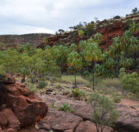 Palm Valley and Hermannsburg 1 Day 4WD Tour - Tourism Adelaide