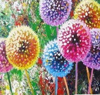 Dandelions - Six Tanks 3.00-5.00pm - Tourism Adelaide