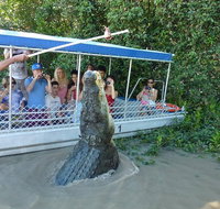 Jumping Croc Cruise - Tourism Adelaide