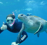 3-Hour Sea Turtle Snorkeling Experience in Byron Bay - Tourism Adelaide