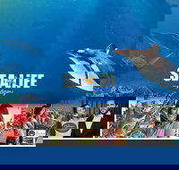 Sydney Attractions Pass SEA LIFE Aquarium Sydney Tower Eye WILD LIFE Zoo and Madame Tussauds - Tourism Adelaide