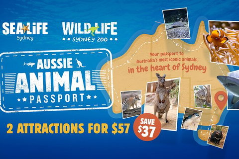 Sydney Attractions Pass: SEA LIFE Aquarium, Sydney Tower Eye, WILD LIFE Zoo And Madame Tussauds - Tourism Adelaide 4