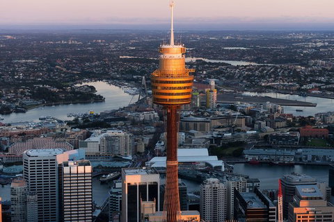 Sydney Attractions Pass: SEA LIFE Aquarium, Sydney Tower Eye, WILD LIFE Zoo And Madame Tussauds - Tourism Adelaide 8