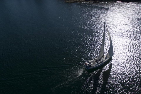 Whale Watching Sailing Experience In Sydney - Tourism Adelaide 10