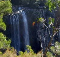 Byron Bay Hinterland Tour Including Rainforest Walk to Minyon Falls - Tourism Adelaide