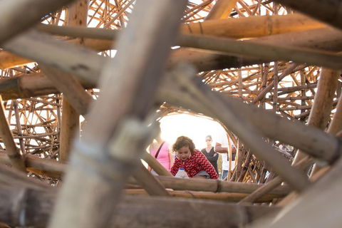 Family Day In Sydney With A Local: Private & Personalized - Tourism Adelaide 7