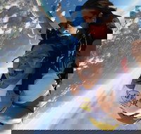 Coffs Harbour Ground Rush or Max Freefall Tandem Skydive on the Beach - Tourism Adelaide