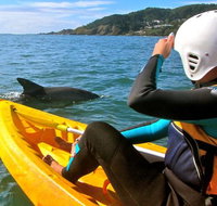 Byron Bay Combo Hinterland Tour Including Minyon Falls and Kayaking with Dolphins - Tourism Adelaide
