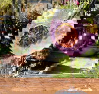 Northern Rivers Distillery Tour from Byron Bay Kingscliff or the Gold Coast