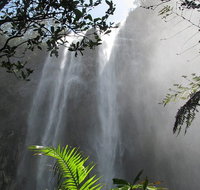 Minyon Falls Rainforest Walk - Tourism Adelaide