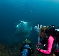 5-Hour Byron Bay Introductory Scuba Diving Tour - Tourism Adelaide