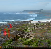 Bibbulmun Track - Tourism Adelaide