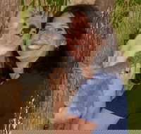 Billabong Sanctuary - Tourism Adelaide