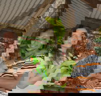 Birdworld Kuranda - Tourism Adelaide