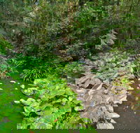 Brindle Creek Walking Track - Tourism Adelaide