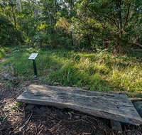 Browns Forest Loop Trail - Tourism Adelaide