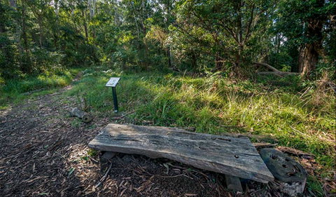 Browns Forest Loop Trail - Tourism Adelaide 0