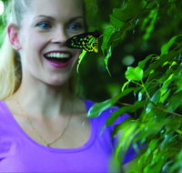 Coffs Harbour Butterfly House - Tourism Adelaide