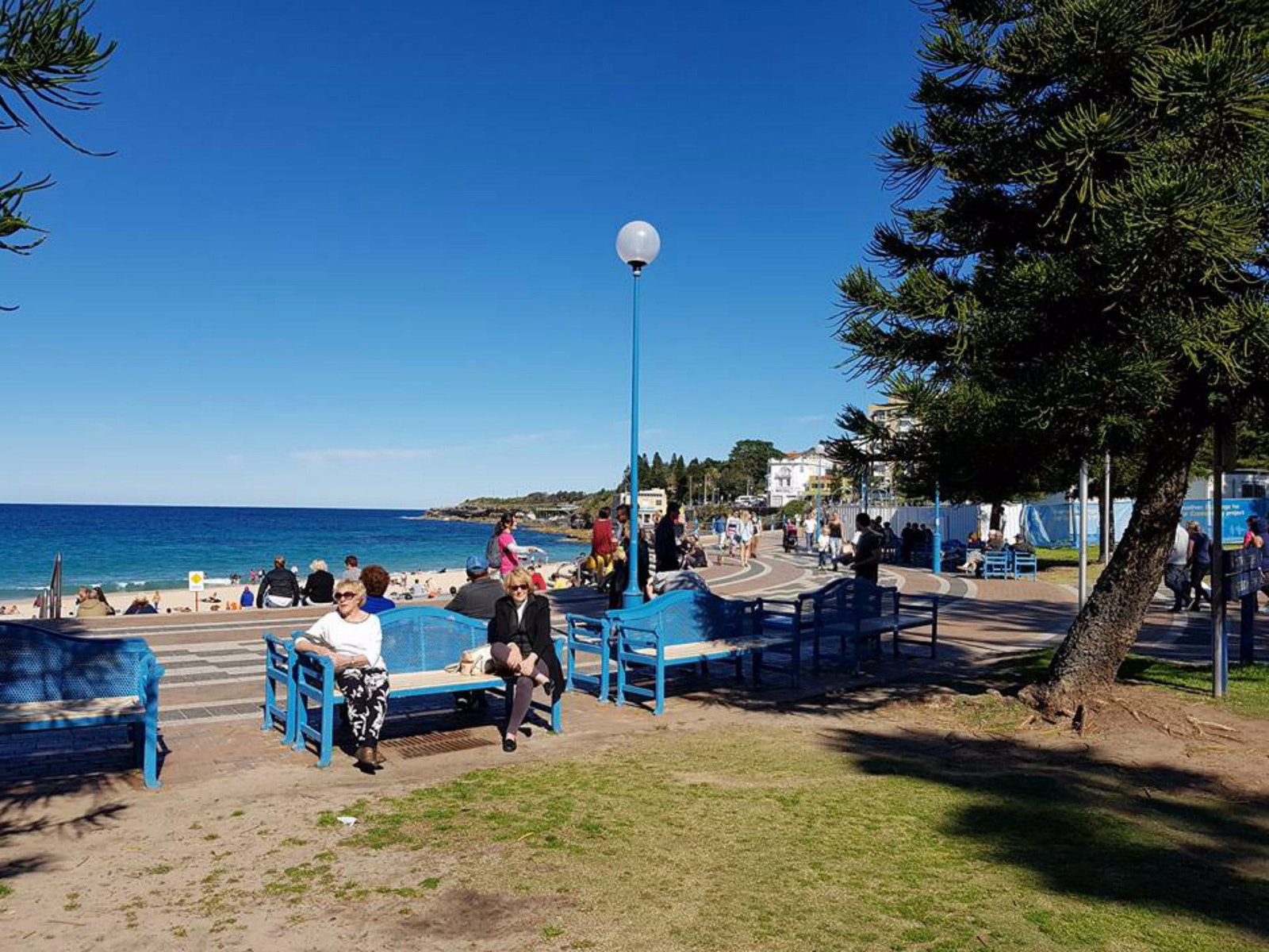 Coogee NSW Tourism Adelaide