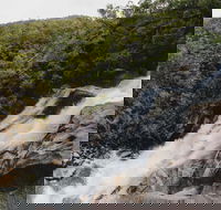 Davies Creek National Park and Dinden National Park - Tourism Adelaide