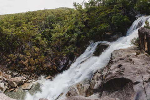 Davies Creek National Park And Dinden National Park - Tourism Adelaide 0