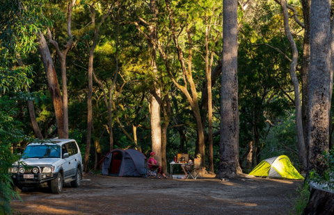 Davies Creek National Park And Dinden National Park - Tourism Adelaide 1
