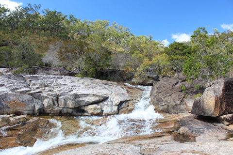 Davies Creek National Park And Dinden National Park - Tourism Adelaide 2