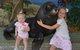 Dolphin Marine Conservation Park - thumb 1