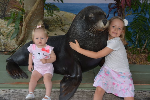 Dolphin Marine Conservation Park - Tourism Adelaide 1