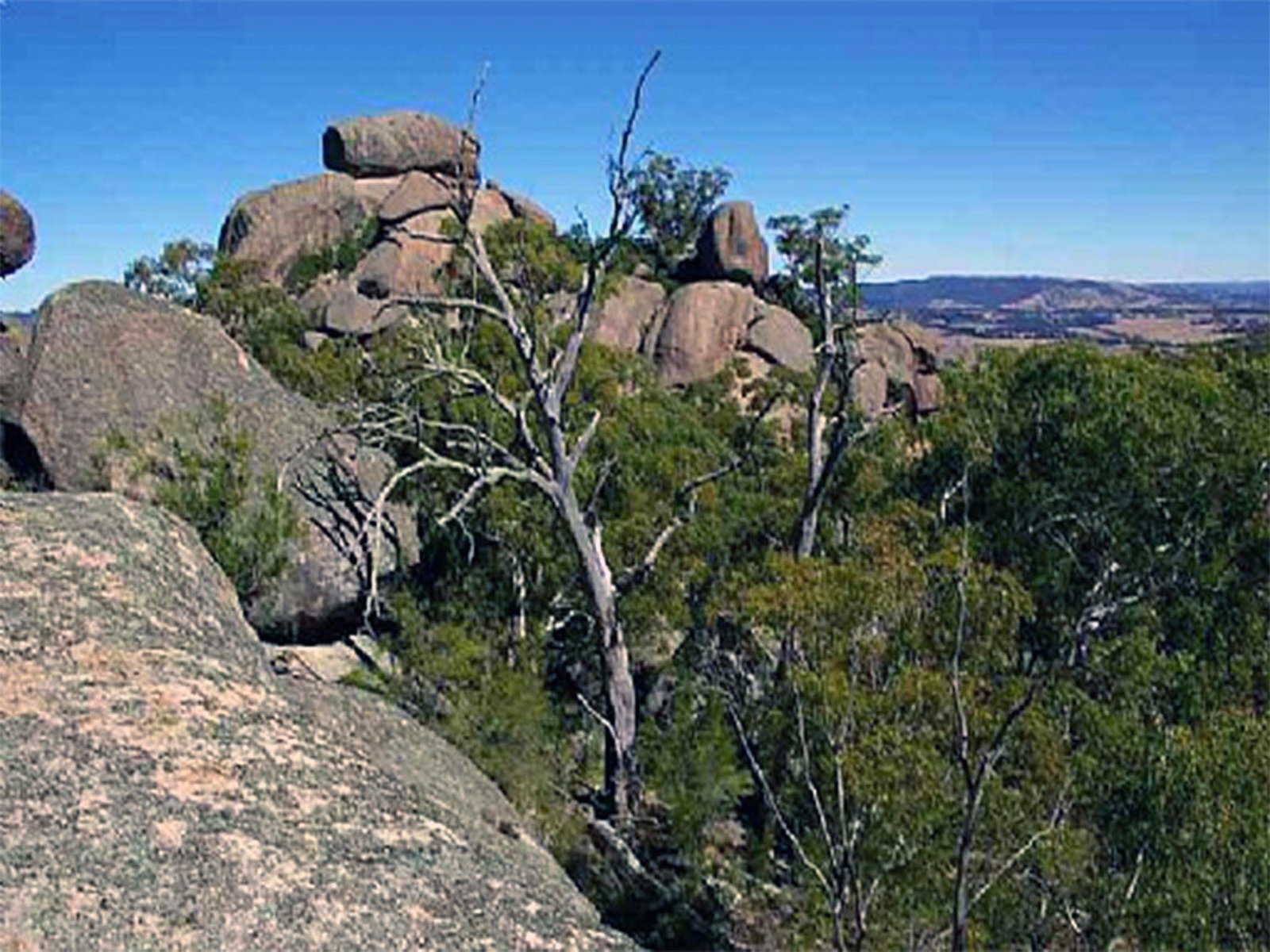 Tarana NSW Tourism Adelaide