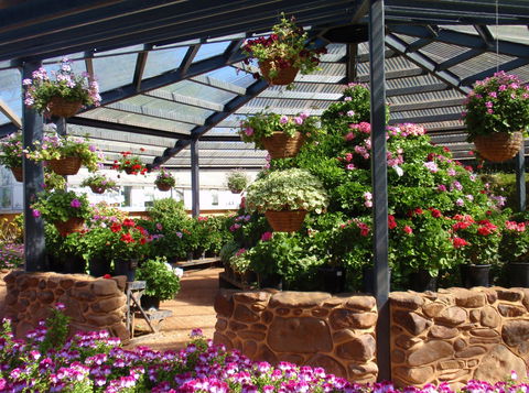 Geelong Botanic Gardens - Tourism Adelaide 1