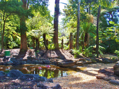 Geelong Botanic Gardens - Tourism Adelaide 2