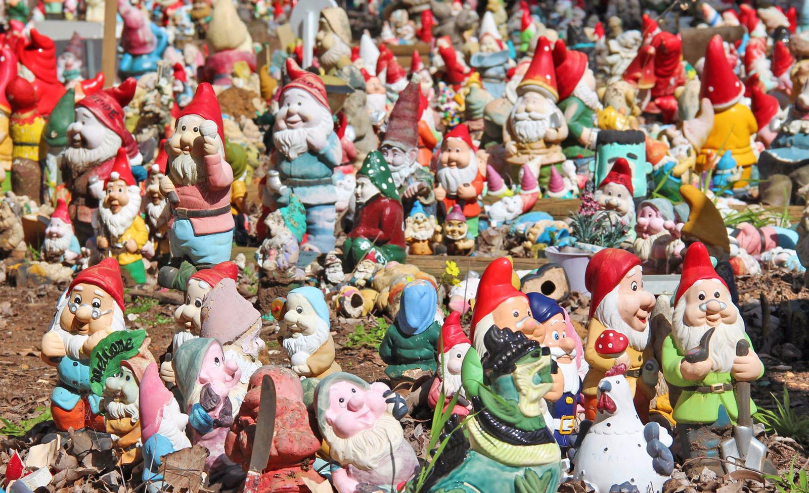 Wellington Mill WA Tourism Adelaide