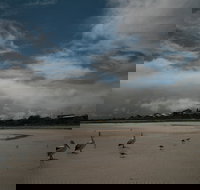 Hardwicke Bay - Tourism Adelaide