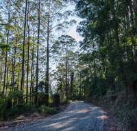 Hastings Forest Way Touring Route - Tourism Adelaide
