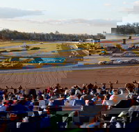 Ipswich Motorsport Precinct - Tourism Adelaide