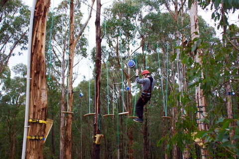 Kinglake Forest Adventures - Tourism Adelaide 0