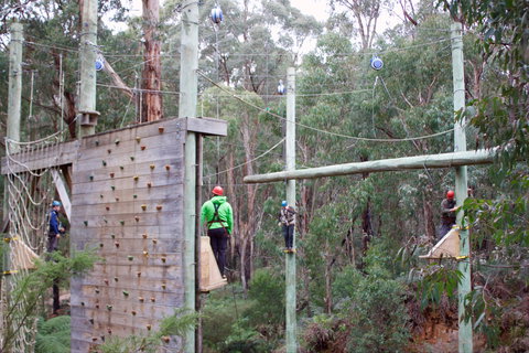 Kinglake Forest Adventures - Tourism Adelaide 1