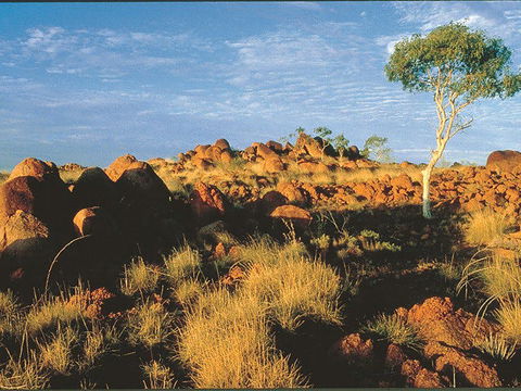 Kunjarra/The Pebbles - Tourism Adelaide 0
