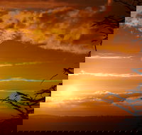 Lady Stonehavens Lookout - Tourism Adelaide