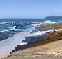 Little Shelley - Tourism Adelaide