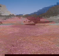 Meekatharra - Tourism Adelaide