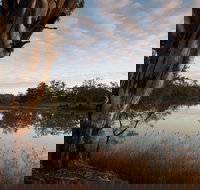 Murray-Kulkyne Regional Park - Tourism Adelaide
